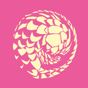 Pangolin