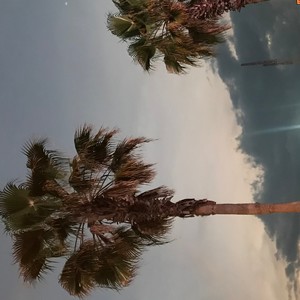 nothin i can do to save us(feat. February) (Explicit)