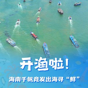 千帆竞发南海寻鲜