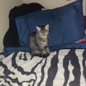 Headspace (Explicit)