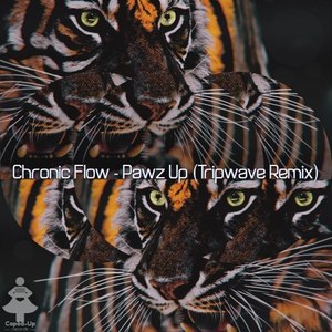 Pawz Up (Tripwave Remix)