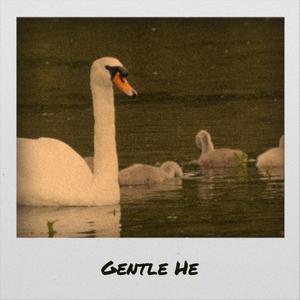 Gentle He
