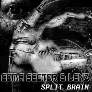 Split Brain (Explicit)