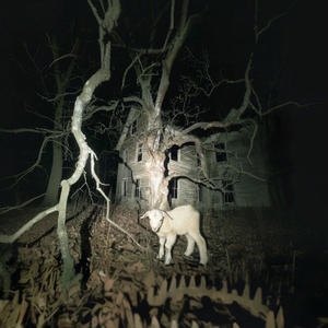 No More Opps (Explicit)