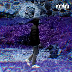 FEENIX (Explicit)