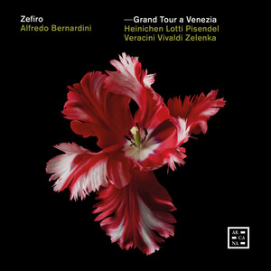 Concerto for 2 Oboes in E Minor, Seibel 222 - III. Allegro