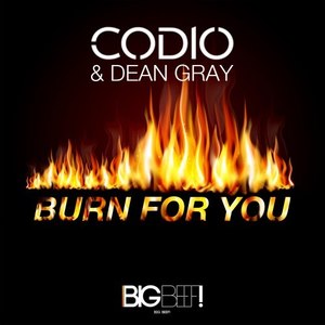 Burn for You (Radio Edit)