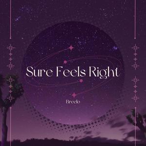 Sure Feels Right (feat. breelo)