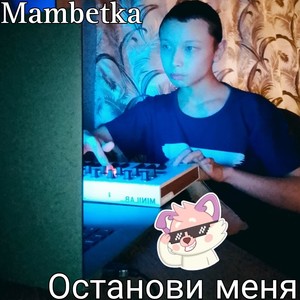 Останови меня