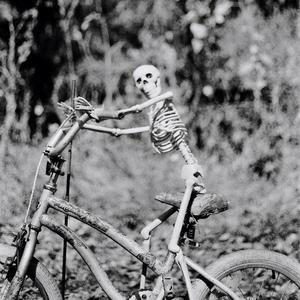 Big World - Headcase