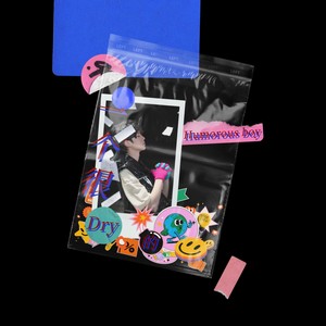 一个很Dry (拽) 的Humorous Boy (COVER版)