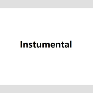 沈以诚 Music Instumental