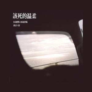 该死的温柔 (DJ超燃口水旋律版)封面
