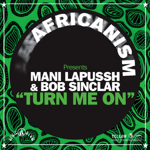 Turn Me On (Africanism Presents)