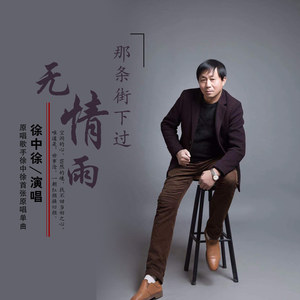 那条街下过无情雨