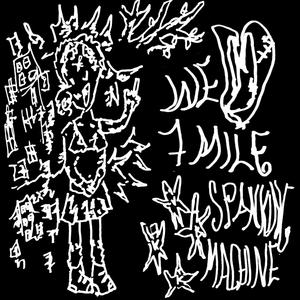 a song for frank's cats