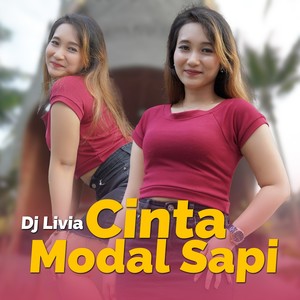 Cinta Modal Sapi