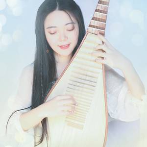 【琵琶】吹灭小山河-乐落清音版