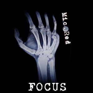 Focus Freestyle (Explicit)