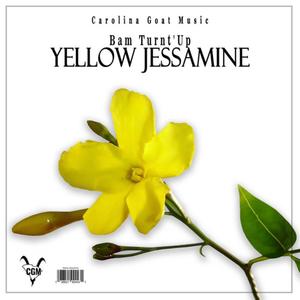 Yellow Jessamine (Seed) [Explicit]