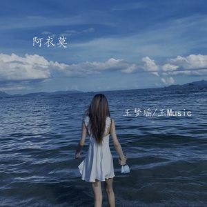 阿衣莫 (Dj王梦瑶剪辑版)