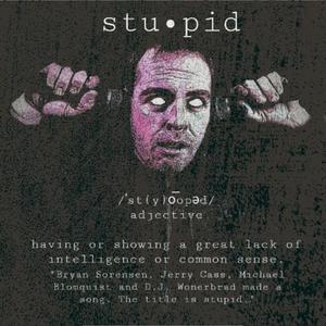 Stupid (feat. Bryan Sorensen, Michael Blomquist & DJ Wonderbrad)