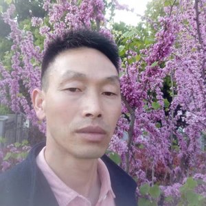 你是一朵鸢尾花