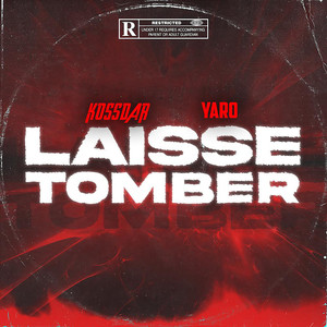 Laisse Tomber (Explicit)