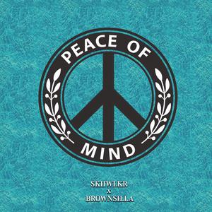 Peace of Mind (POM) (feat. Brownsilla) [Radio Edit]