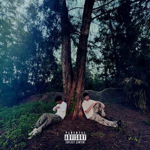 TOO MANY TIMES (feat. I'm Dru!) (Explicit)