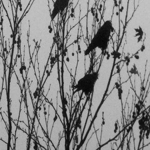 NEM TUDOM (Explicit)