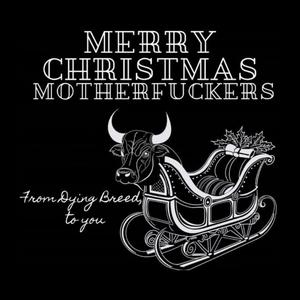 Bulls On A Sleigh (Explicit)