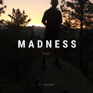 Madness (Explicit)