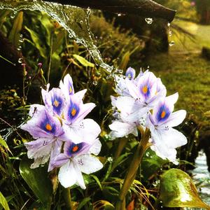 Serenity (feat. Lulu Marie) (Explicit)