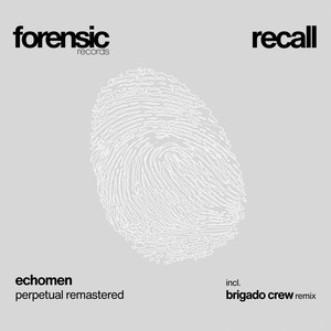 Perpetual Remastered (Brigado Crew Remix)