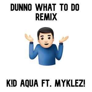 DUNNO WHAT TO DO (feat. myklez!) (Remix)