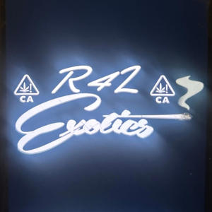 Real Dumpers (feat. MirrWopp & Lil Kam) (Explicit)