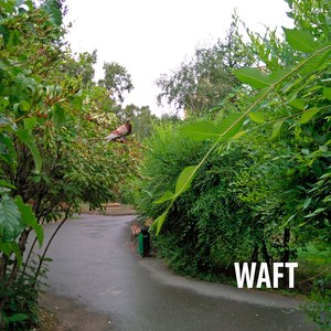 Waft