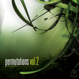 Permutations Vol. 2