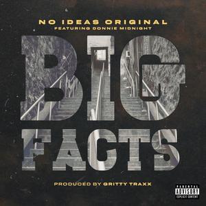 Big Facts (feat. Donnie Midnight) [Explicit]