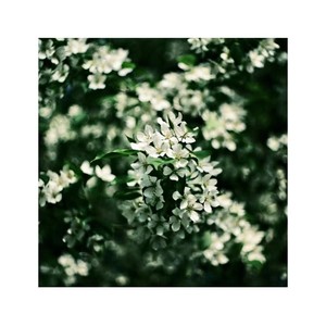 游离怪 - 失眠随笔（Prod.費奈爾蘭德Beat Station）