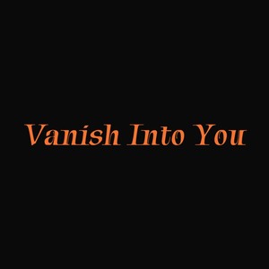 Vanish Into You