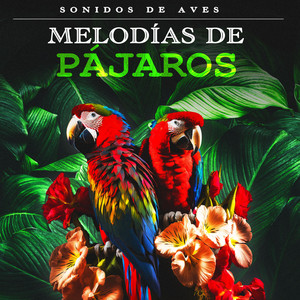 Melodías de Pájaros