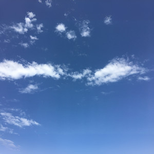 你是人间四月天