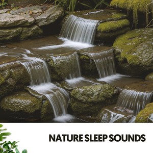 Nature Sleep Sounds: Harmony of the Earth's Lullabies