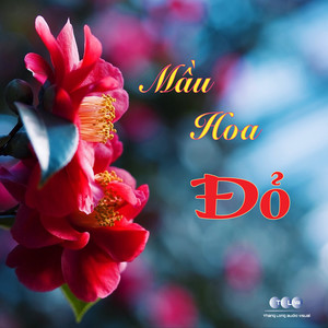 Viet Nam Que Huong Toi