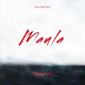 Maula (feat. AR Afridi) (Explicit)