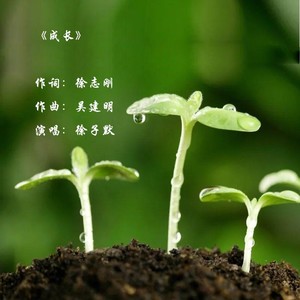 成长