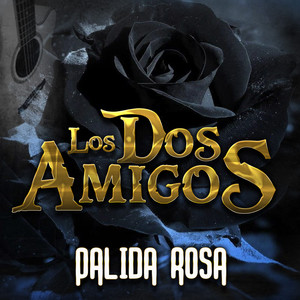 Donde Estas Corazoncito