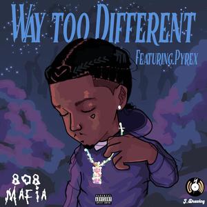 WAY TO DIFFERENT (feat. Pyrex) (Explicit)